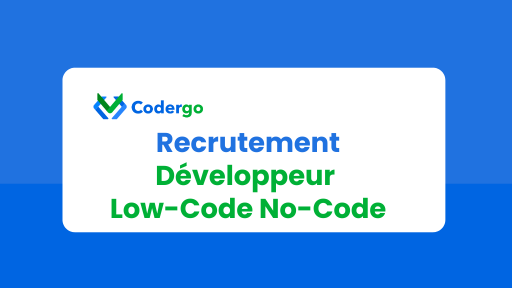 Développeur Low Code No Code